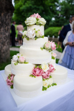 Svatební dort web