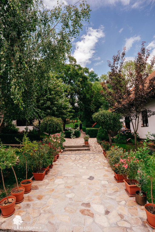 Svatební stodola - Blažejovice - Katka a Kuba 2025 (web)-02181