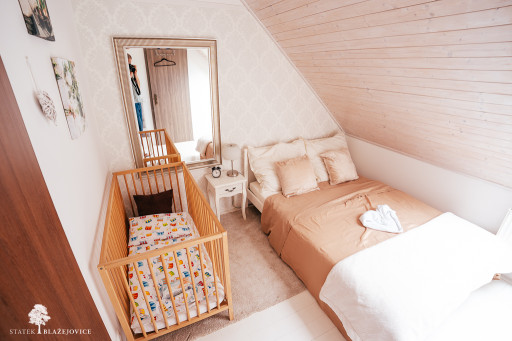 Svatební stodola a Statek Blažejovice - Katka a Jirka 2025 (web)-02346