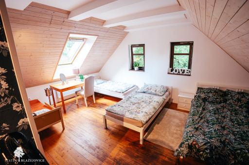 Svatební stodola a Statek Blažejovice - Katka a Jirka 2025 (web)-02349