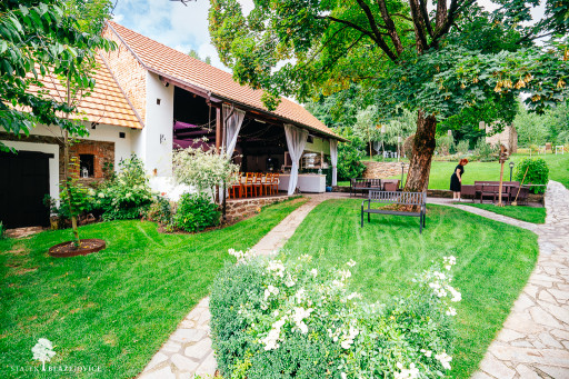 Svatební stodola a Statek Blažejovice - Katka a Jirka 2025 (web)-02354