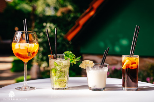 Svatební stodola a Statek Blažejovice - Katka a Jirka 2025 (web)-02383