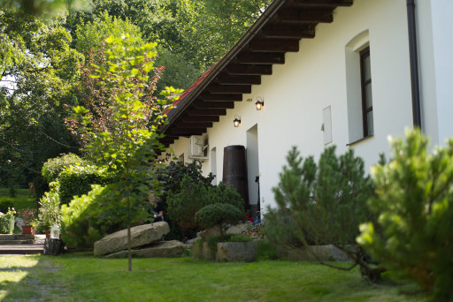 Lenka a Aleš-00495 Lenka a Aleš-00495