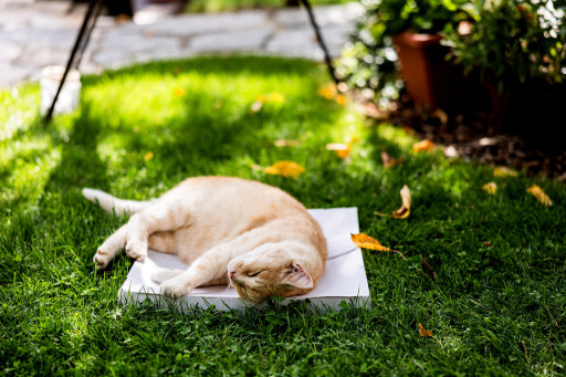 Lenka a Aleš-528 Lenka a Aleš-528