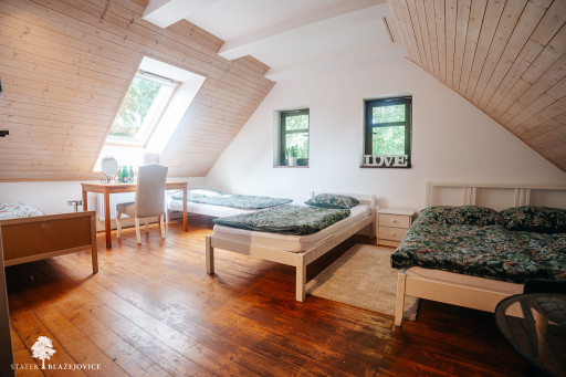 Svatba na Statek Blažejovice 2025 fotky a hodnocení (w)-02814