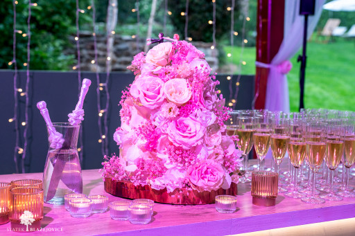 Svatba na Statek Blažejovice 2025 fotky a hodnocení (w)-02854