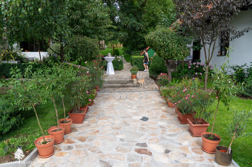 Svatba na Statek Blažejovice 2025 (w)-02954