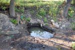 Studánka