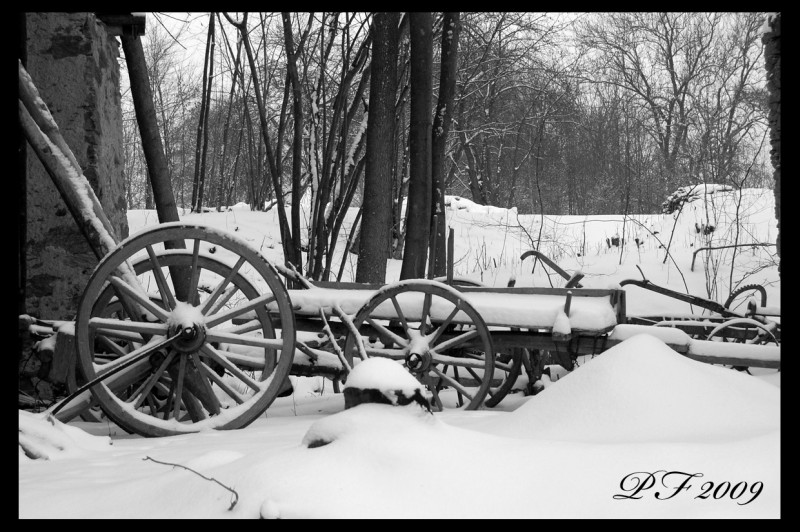 Statek Blažejovice Svatební areál (okres Benešov)