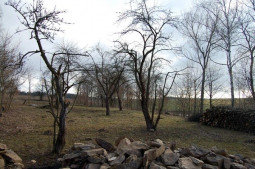 Zahrada, duben 2009