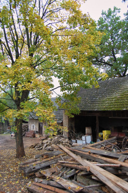 Blažejovice 2008-10-18 web_20