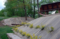Sklípek - květen 2012
