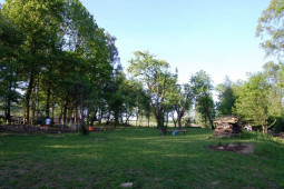 Zahrada květen 2009
